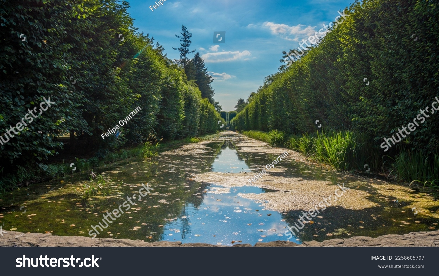 Water in Oliva (Oliwa) park in summer time in Gdansk, Poland. #2258605797
