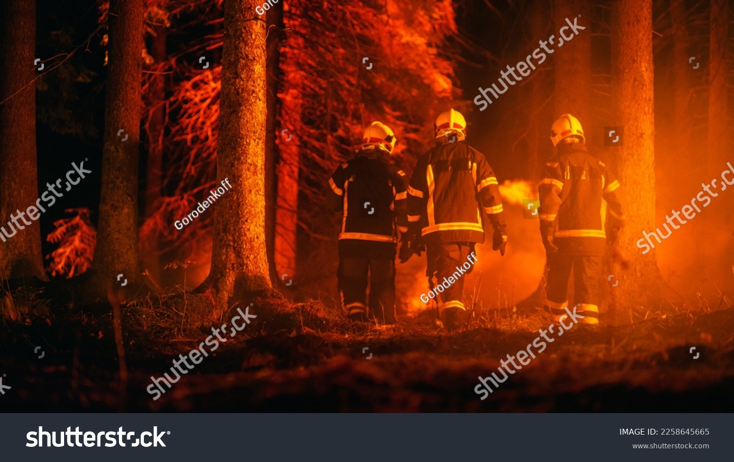 Diverse Squad of Male and Female Firefighters Trail Deep in a Forest to Stop a Wildland Fire from Spreading. Superintendent Giving Orders and Instructions on Where to Move to Extinguish the Fire. #2258645665