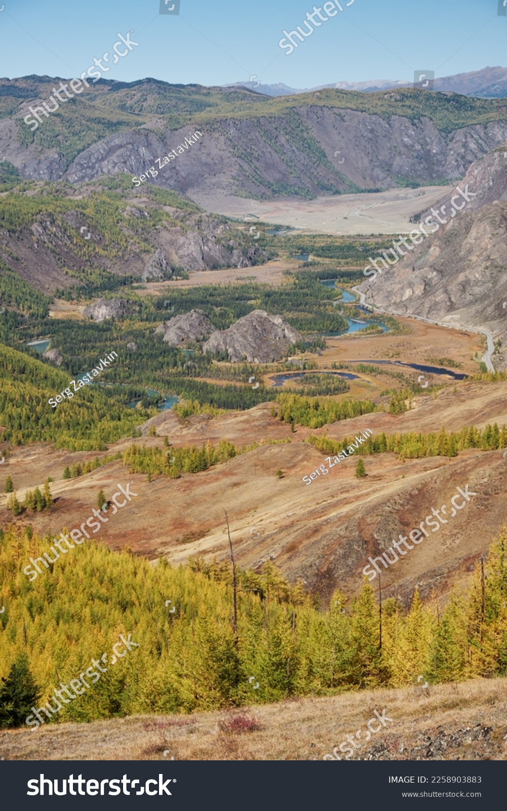 Autumn highland landscape. Altai river Chuya surrounded by mountains. Larch trees in yellow autumn color. Altai, Siberia, Russia. #2258903883