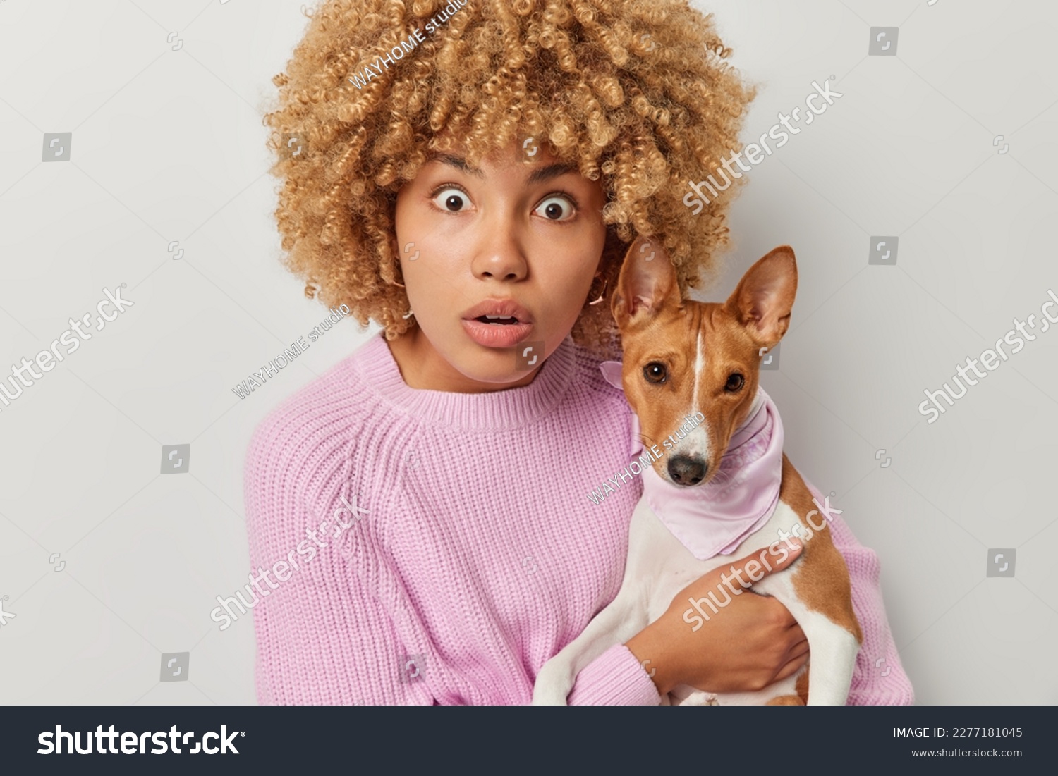 Shocked female pet owner stares at camera with omg expression poses with breed dog cannot believe own eyes dressed in knitted jumper isolated over white background. Domestic animals and friendship #2277181045