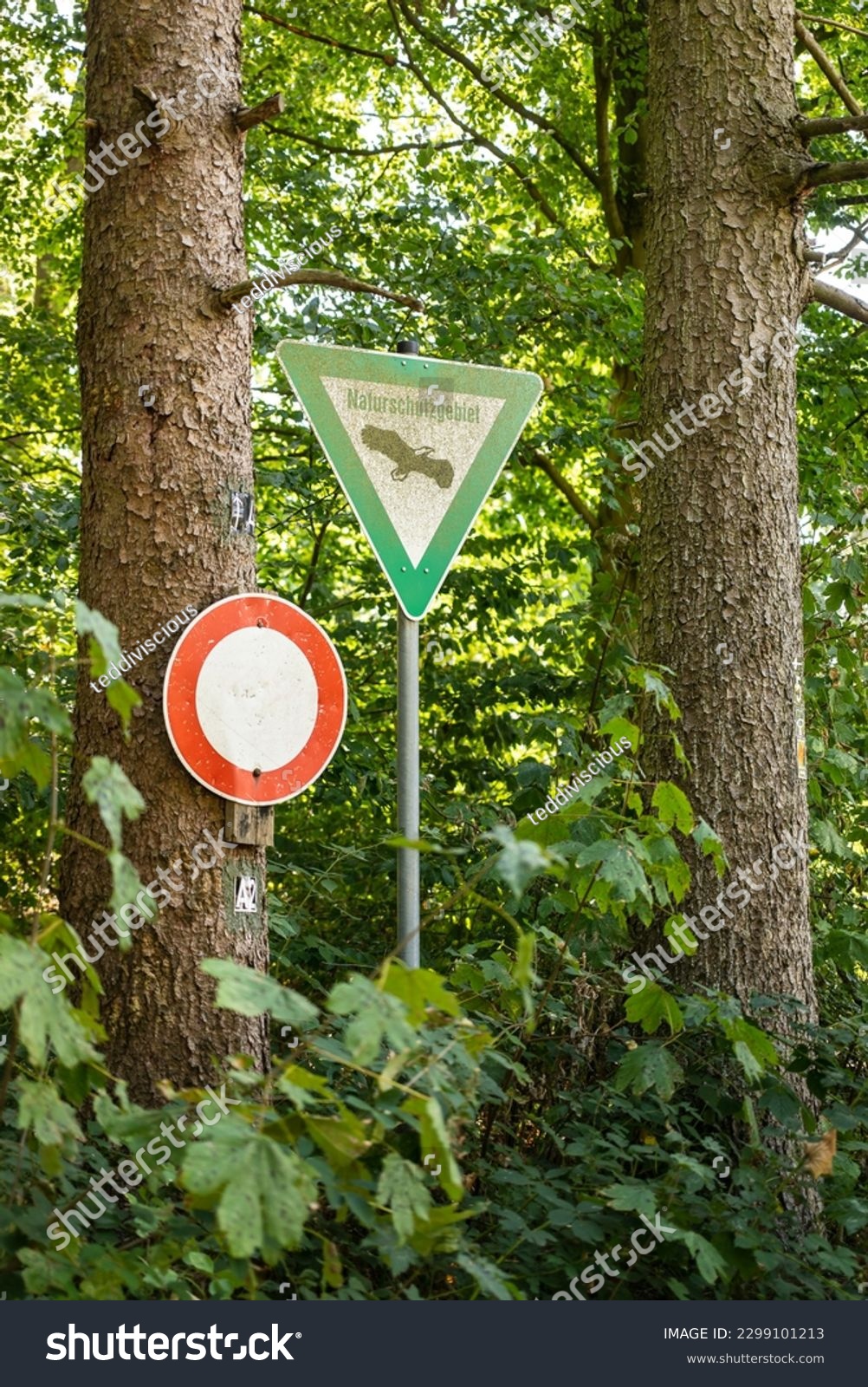 Signs "Naturschutzgebiet" and "No entry!" on the edge of a forest, marking a nature reserve and conservation area, Germany #2299101213