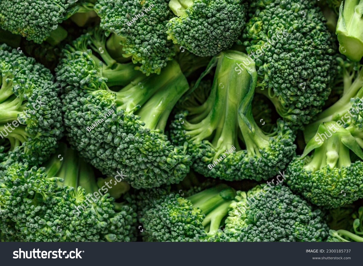 Macro photo green fresh vegetable broccoli. Fresh green broccoli on a black stone table.Broccoli vegetable is full of vitamin.Vegetables for diet and healthy eating.Organic food. #2300185737