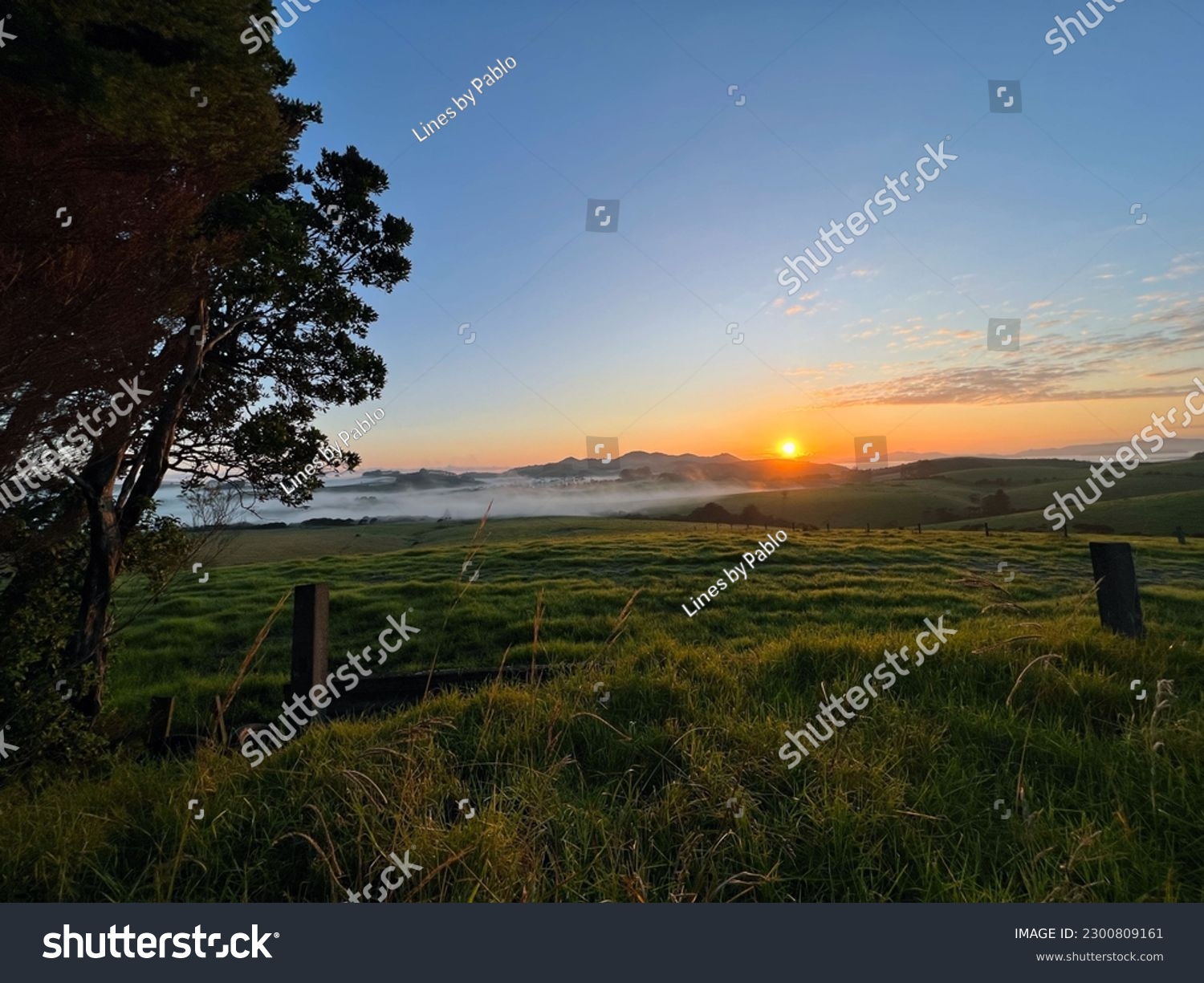 A serene rural scene in Bay of Islands, NZ. Lush green landscape with low fog. Rustic charm and simple agricultural life showcased in golden morning light. #2300809161