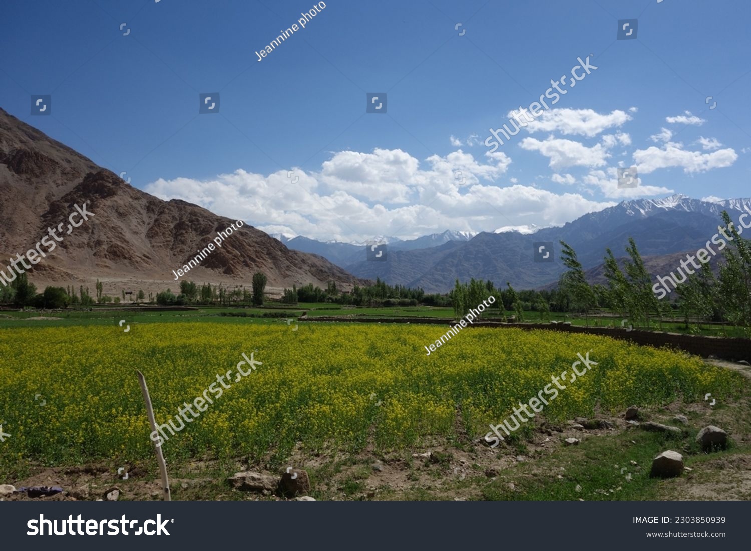 No man's land in Ladakh #2303850939