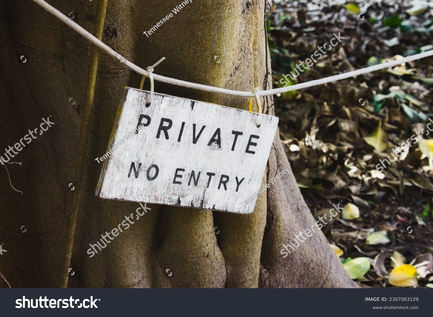 A wooden sign painted white with the words Private No Entry written #2307063129
