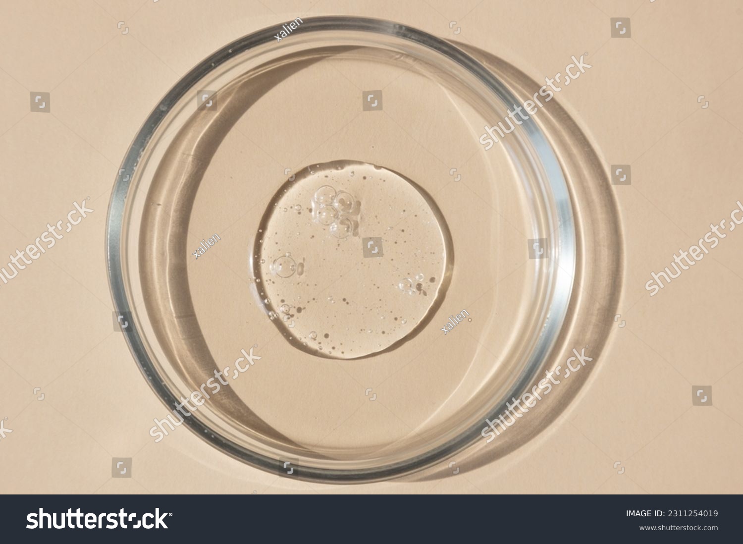 close-up of pipette and petri dish with facial serum gel #2311254019