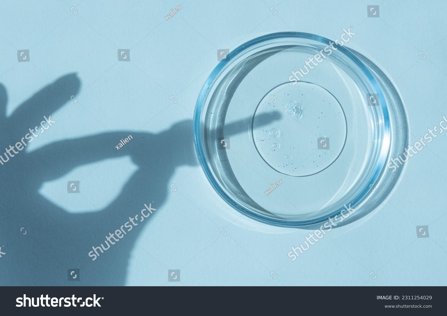 close-up of pipette and petri dish with facial serum gel #2311254029
