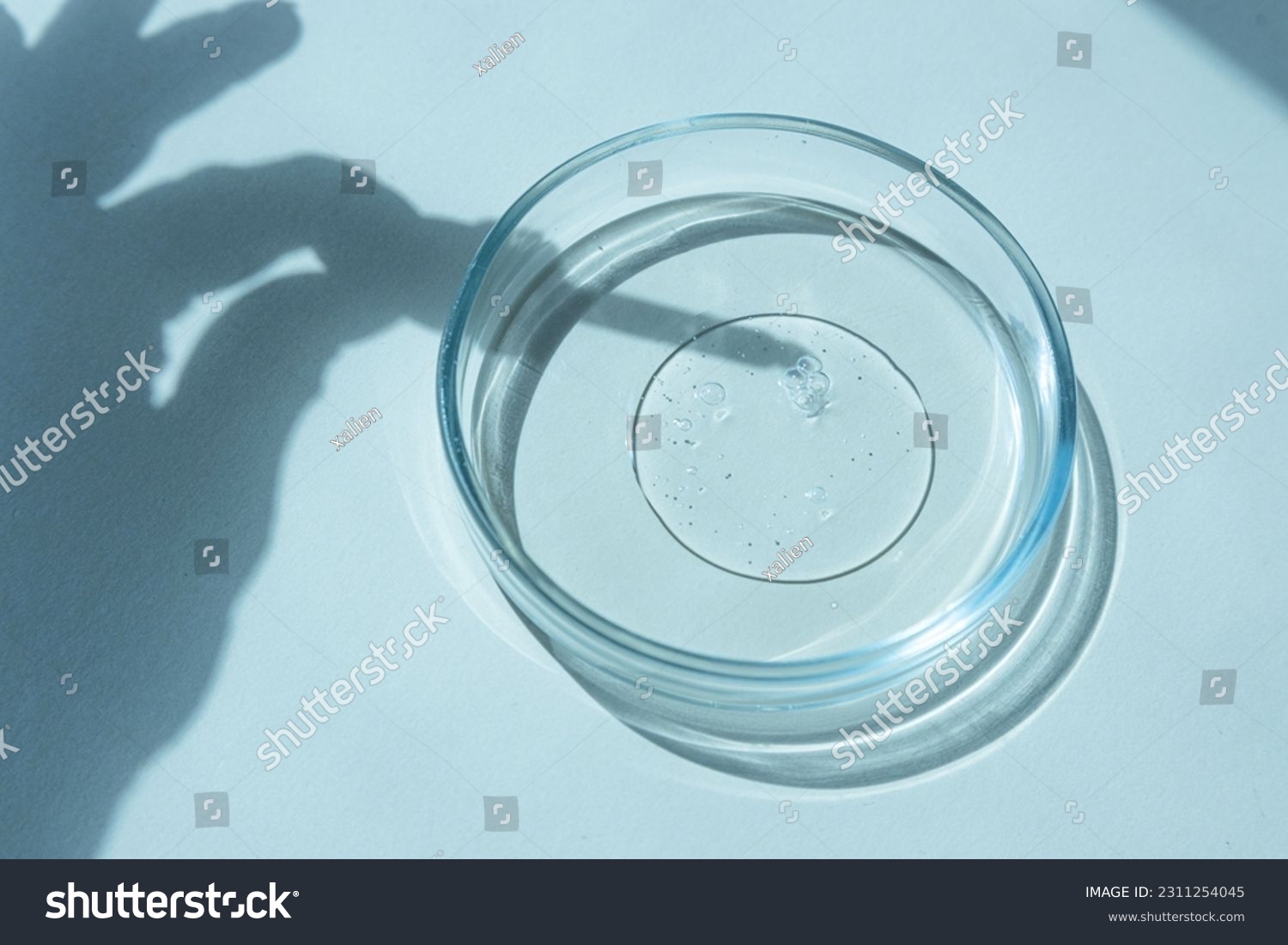 close-up of pipette and petri dish with facial serum gel #2311254045