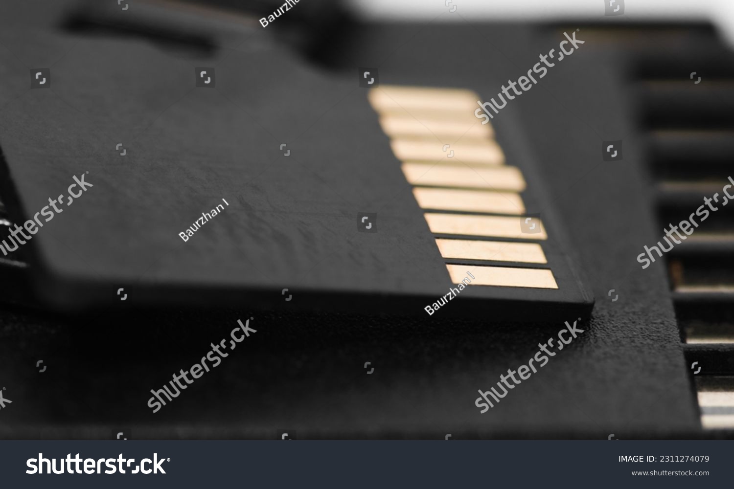 Back side of black SD memory card. Computer equipment. Memory card backup #2311274079