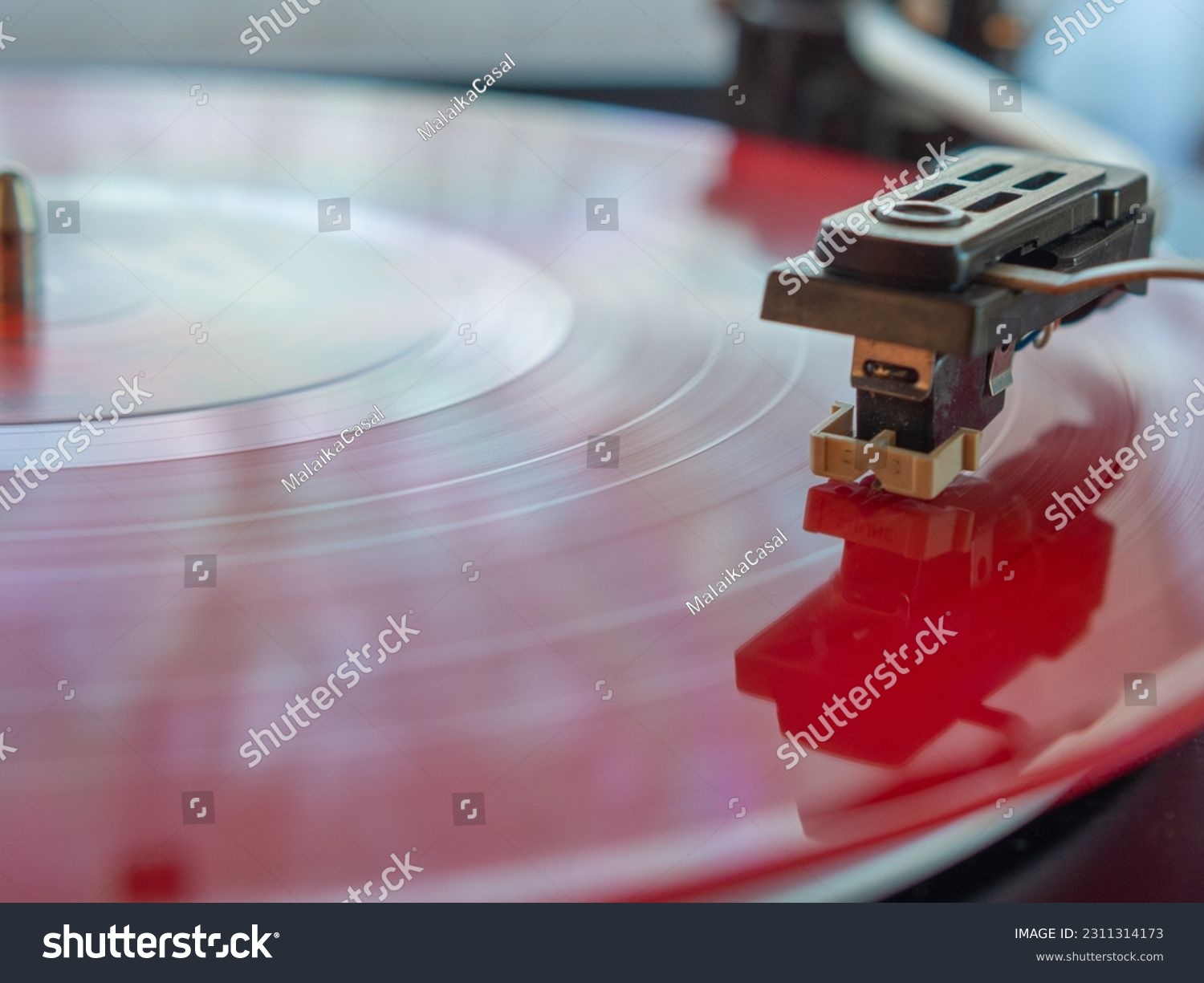 Detail of a needle on a track of a red vinyl record. Vintage turntable. #2311314173