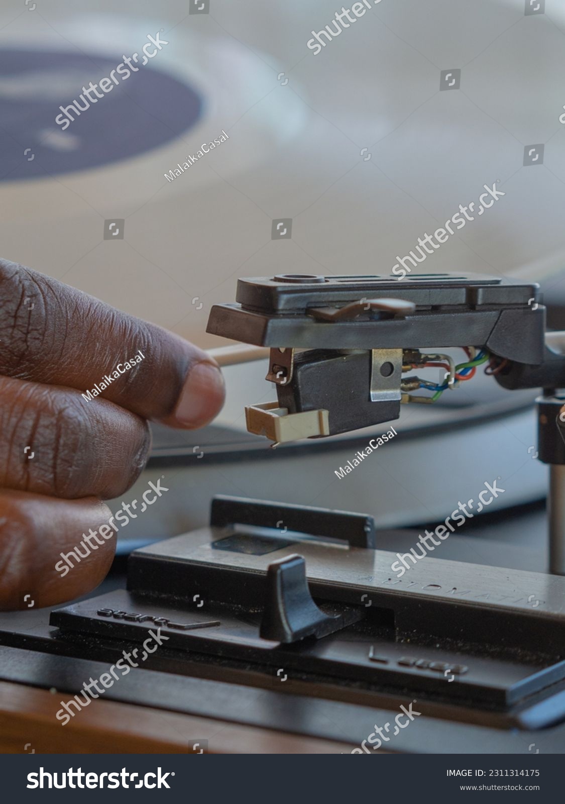 Detail of a female hand placing a white vinyl record on a vintage turntable #2311314175