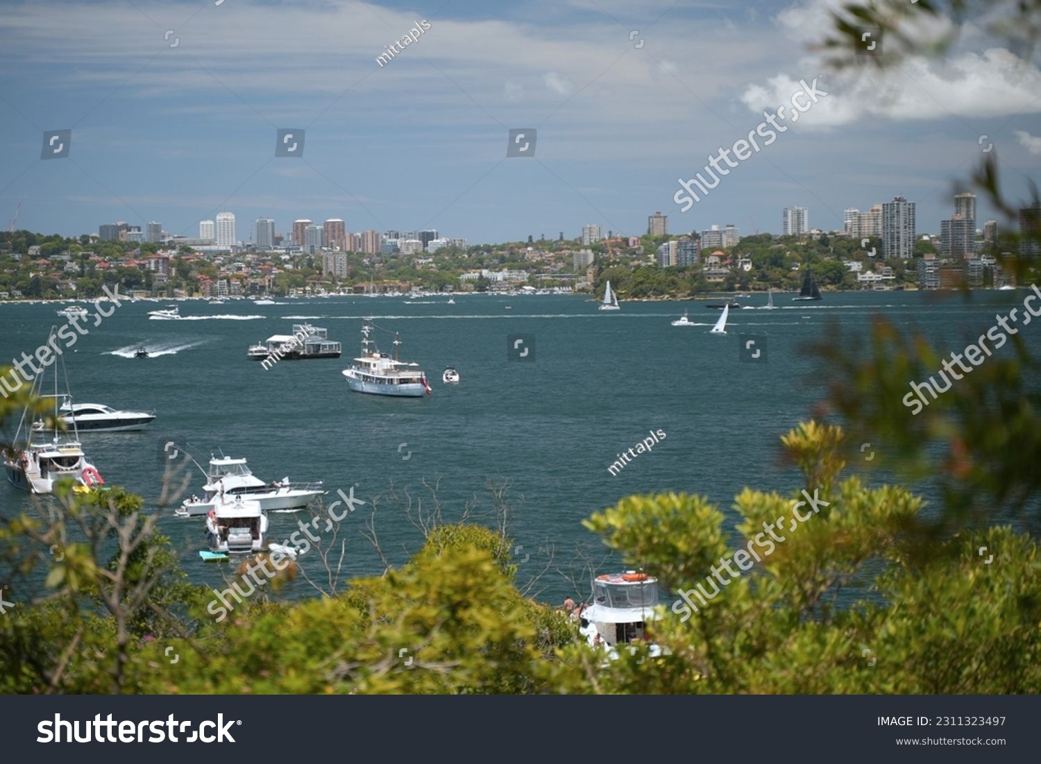 view Sydney Harbour National Park Australia #2311323497