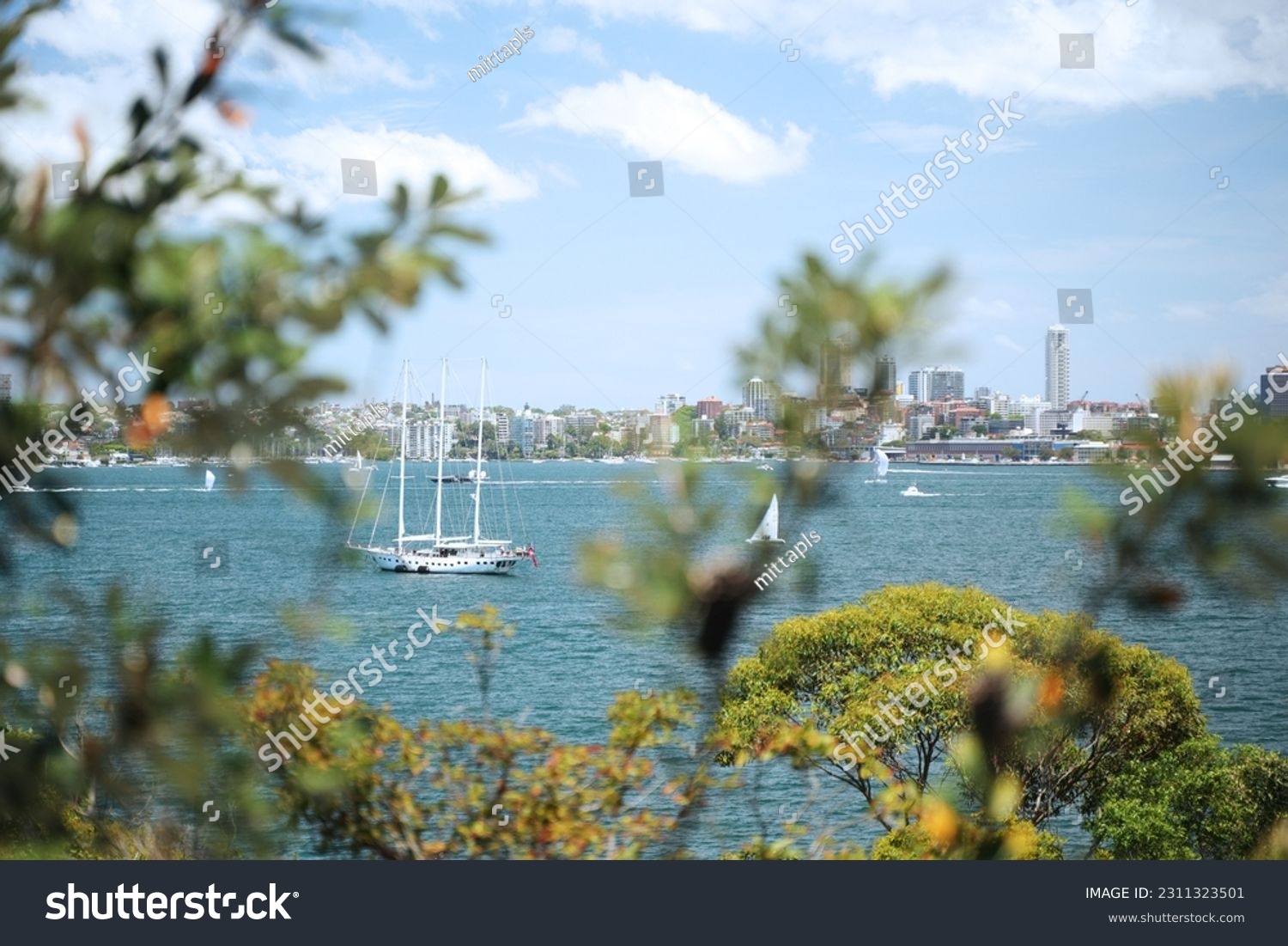 view Sydney Harbour National Park Australia #2311323501