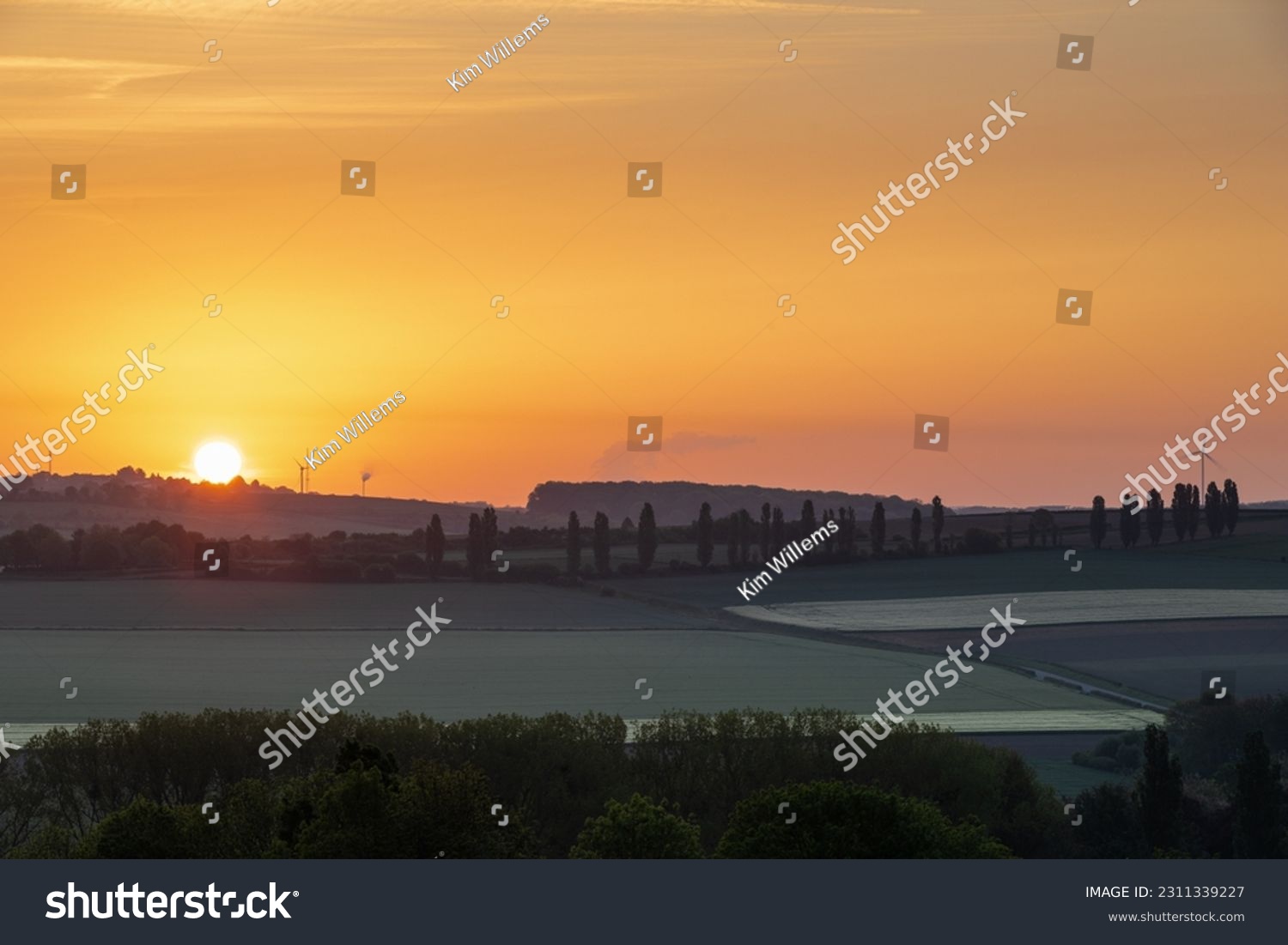 Sunrise in spring time with the silhouette of the typical Tuscan Poplar trees in a line alongside a road during the golden hour and the sun on the horizon. #2311339227
