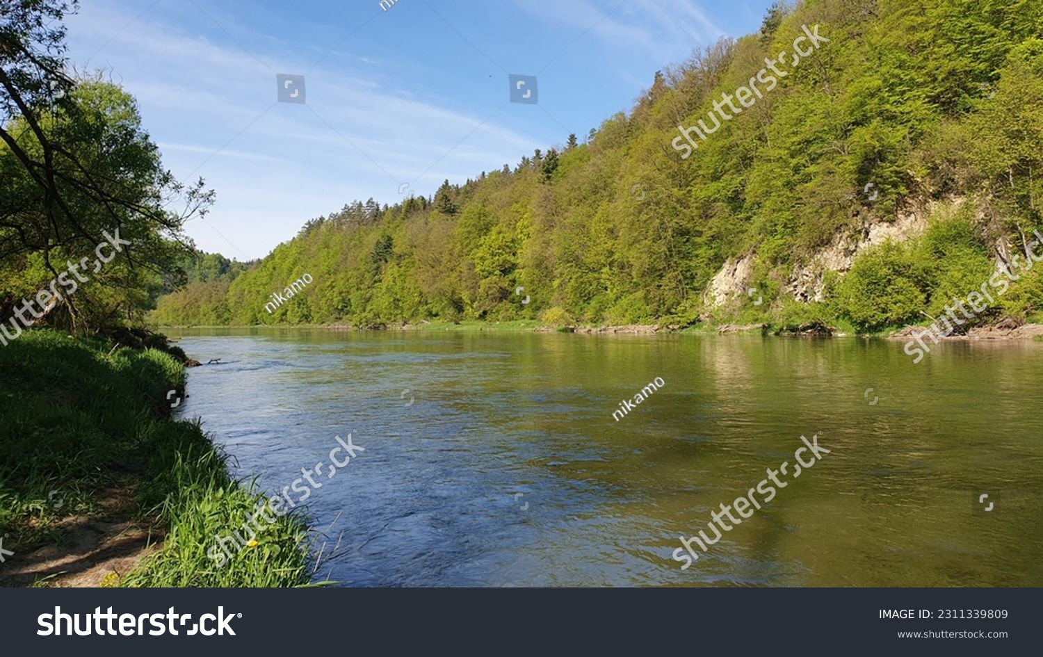 Impressively beautiful San River Bieszczady in Poland. Breathtaking  Scene. Panoramic view with plants #2311339809