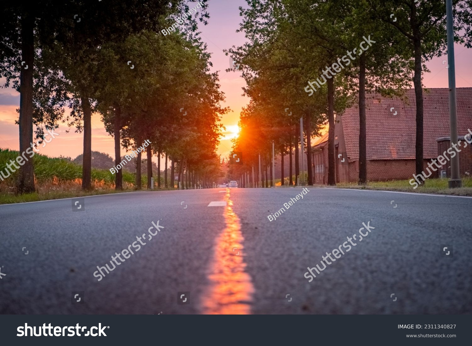 Sun Rising Over Asphalt Country Open Road In Sunny Morning Or Evening. Open Road In Europe In Summer Or Autumn Season At Sunny Sunset Or Sunrise Time. High quality photo #2311340827