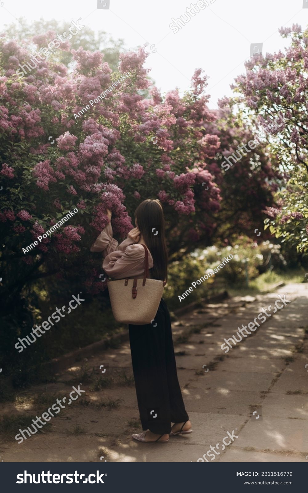 young beautiful brunette woman reaches for the branches of blooming lilacs. a girl in a beige blouse with a straw bag near a blooming lilac. #2311516779
