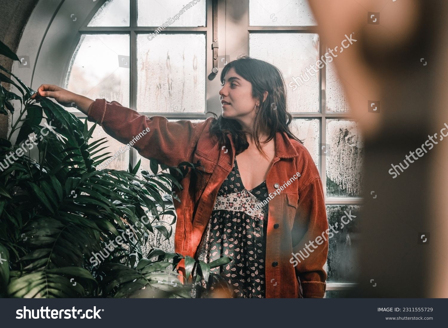 caucasian young woman wearing nice earrings red jacket calm and relaxed caressing the soft leaves of a nice plant in the botanic garden, botanic garden christchurch, new zealand #2311555729