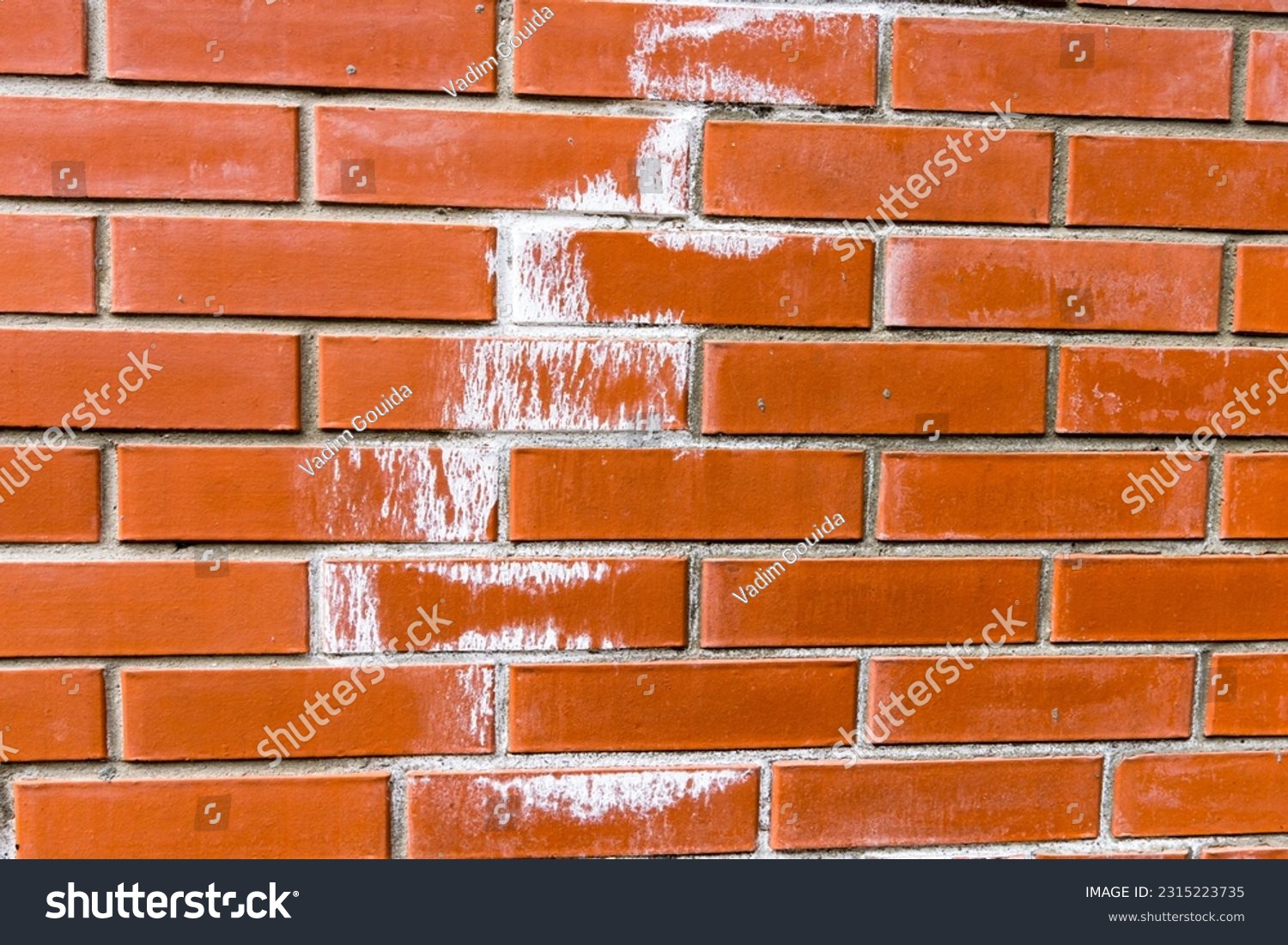 Efflorescence on new red bricks wall #2315223735