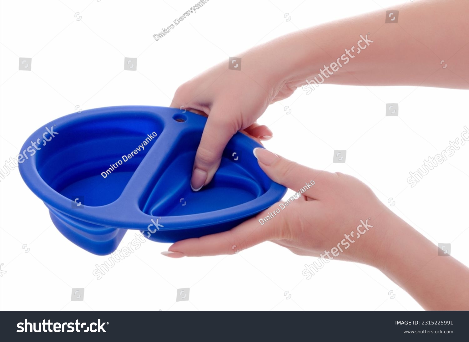 A bowl for feeding dogs or cats in a female hand #2315225991