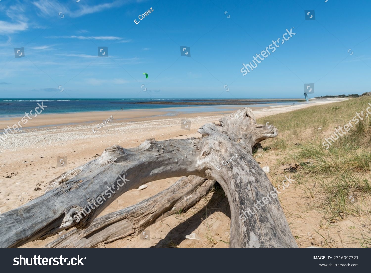 Driftwood on the beach of Saint-Denis d'Oléron, Oléron island, in Charente-Maritime (France) #2316097321