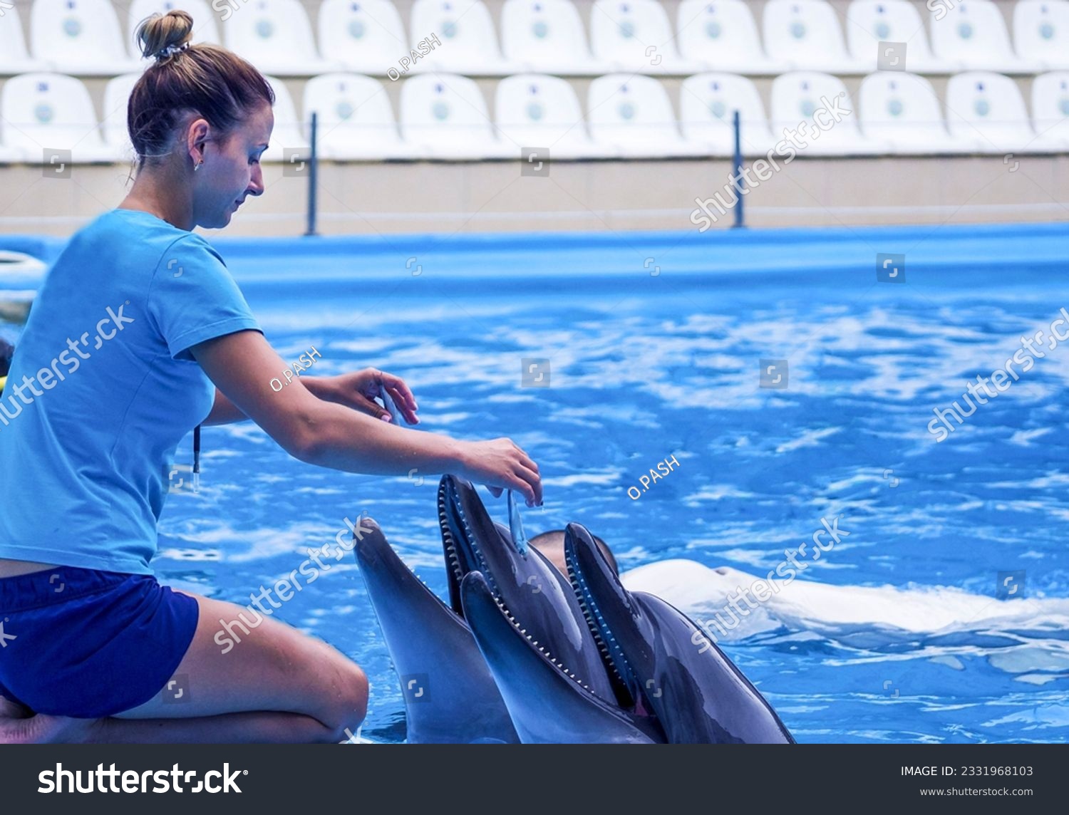  girl, trainer with  dolphins. Concept love of the person to marine animals. Harmony in the nature. Careful attitude to animals. Experts of a dolphinarium train and tame marine animals #2331968103