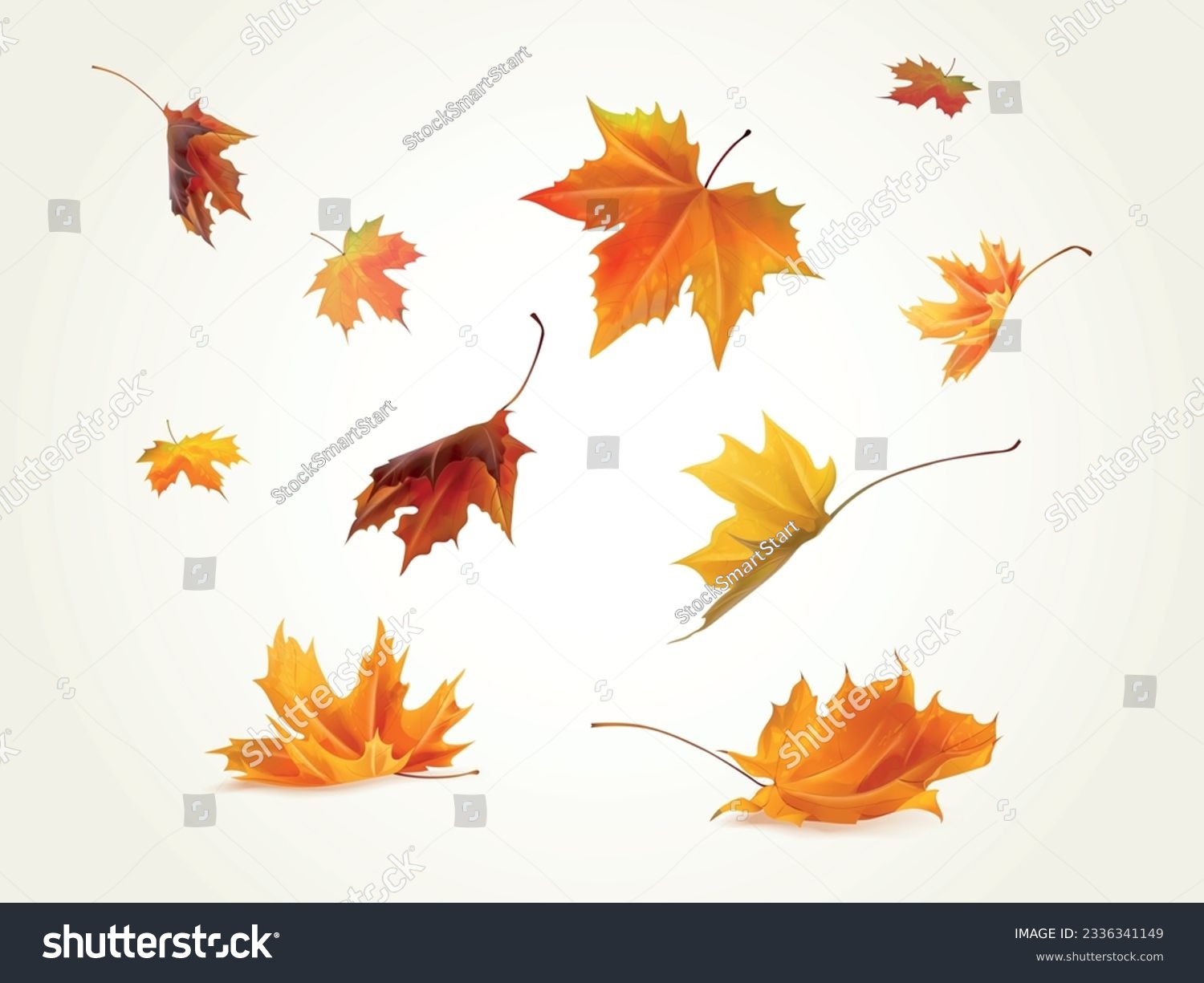 Realistic falling leaves. Autumn forest maple leaf in september season, flying orange foliage from tree on ground transparent background isolated template exact vector illustration of fall autumn #2336341149