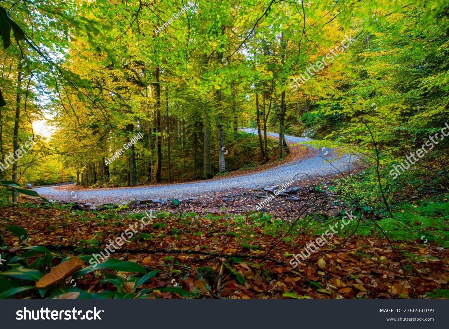 
This bend in Yedigöller looks very beautiful in the autumn season. #2366560199