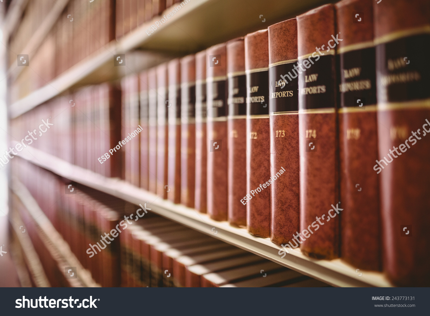 Close up of a lot of law reports in library #243773131