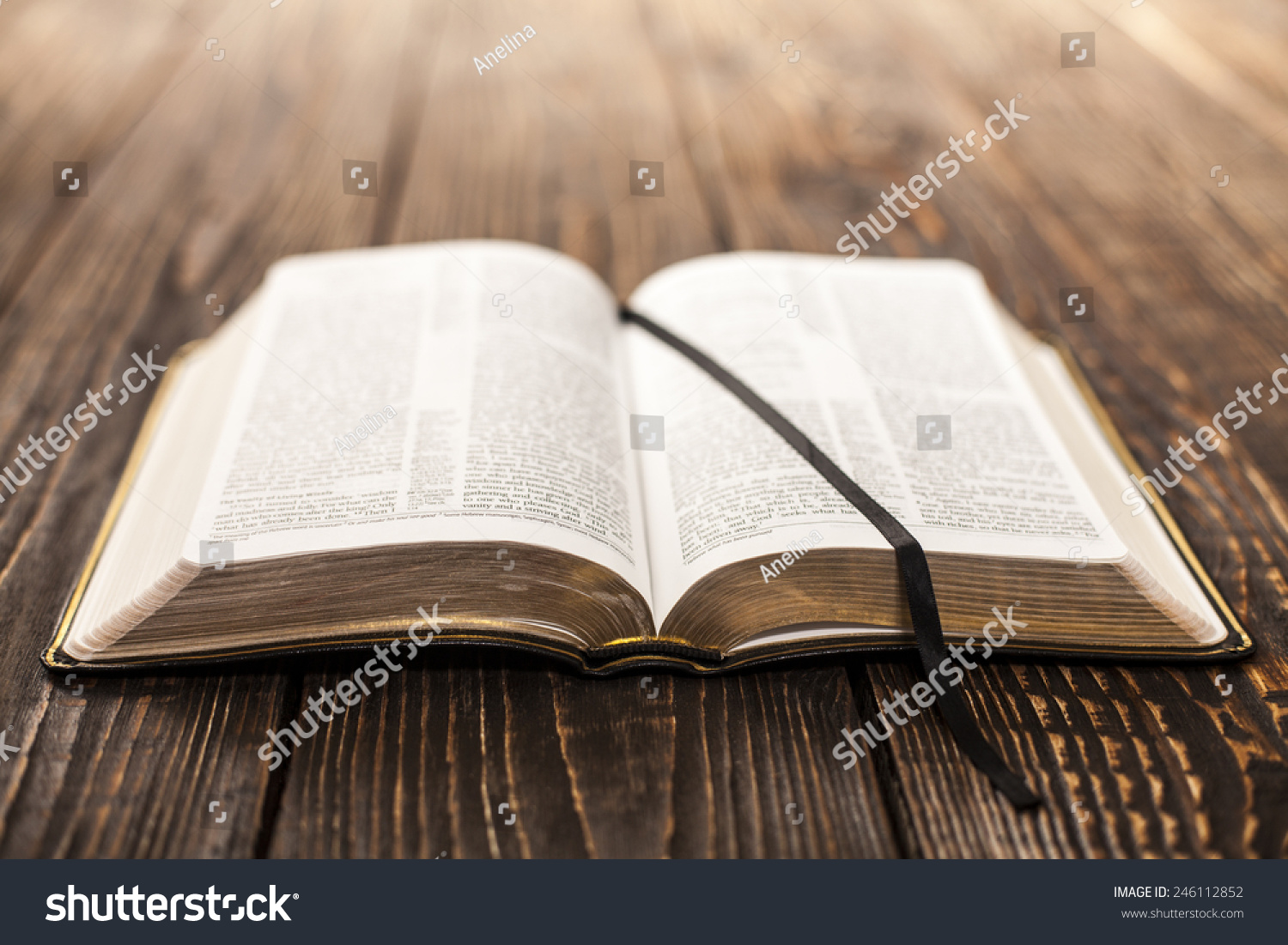 Open Book on wood background #246112852