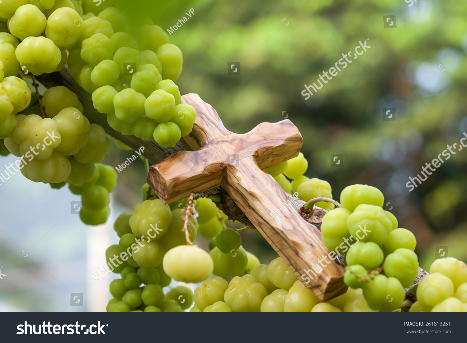 Close up of wooden cross with star gooseberry, symbolic of fruitfulness for religion background  #261813251