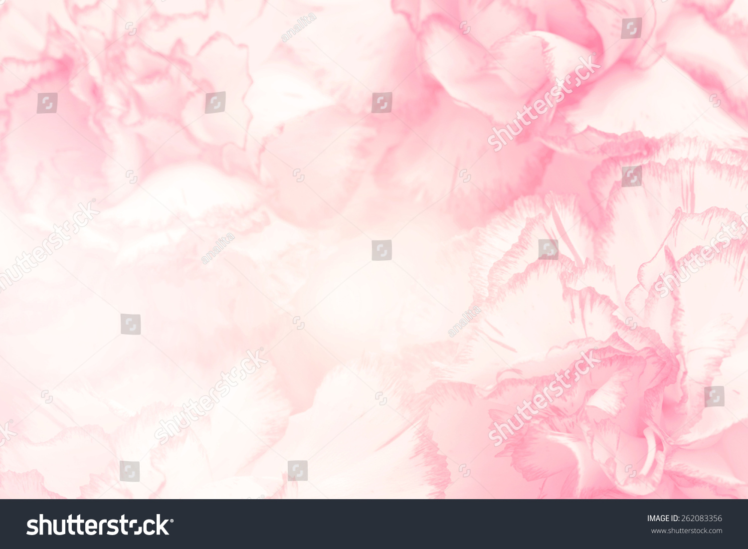 flower on soft pastel color in blur style #262083356