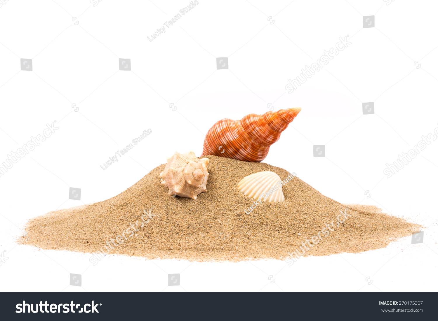 Isolated seashell on sand, white background #270175367