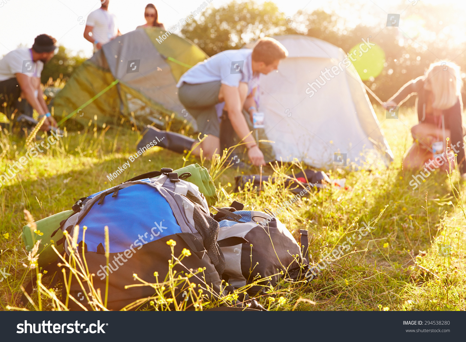 Group Of Young Friends Pitching Tents On Camping Holiday #294538280