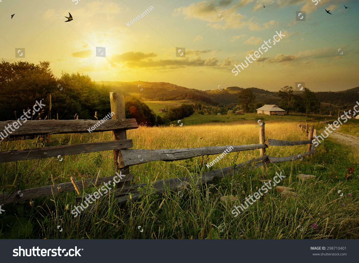 art rural landscape. field and grass  #298710401