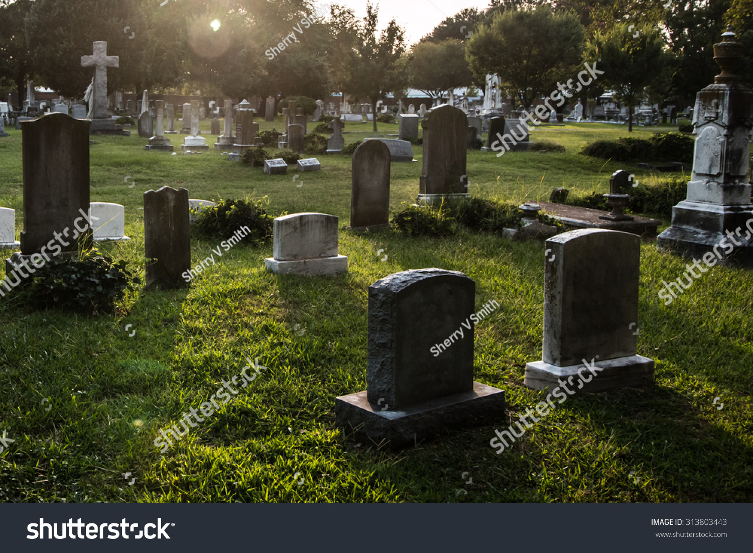 Tombstones in cemetery at dusk #313803443