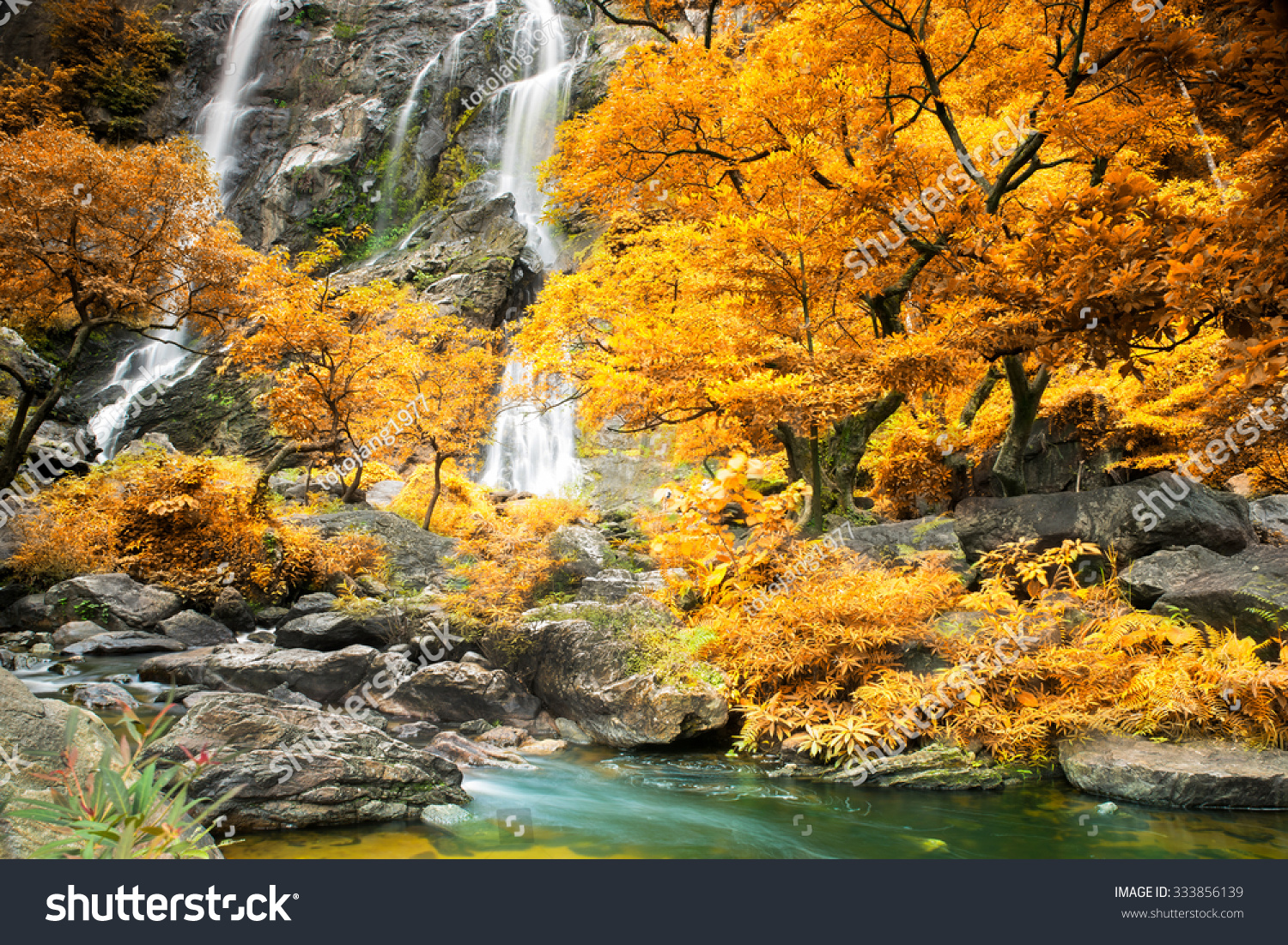 Amazing waterfall in colorful autumn forest  #333856139