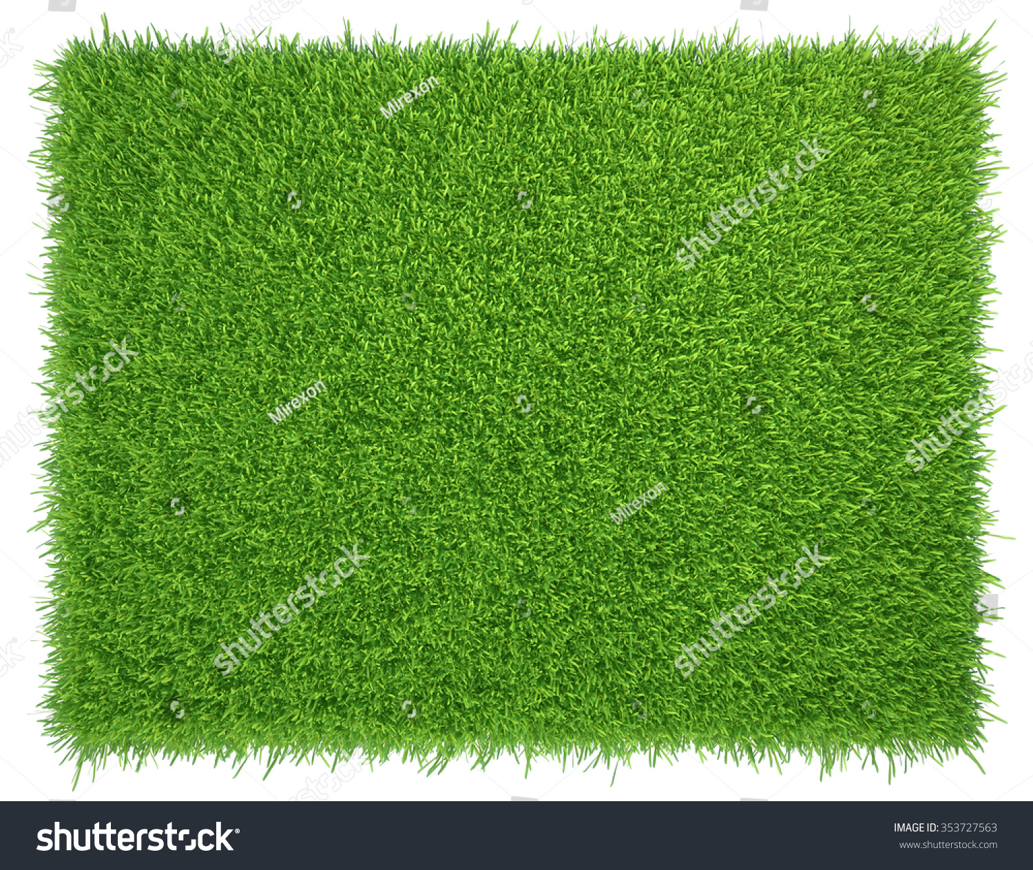Green grass. natural background texture. fresh spring green grass. #353727563