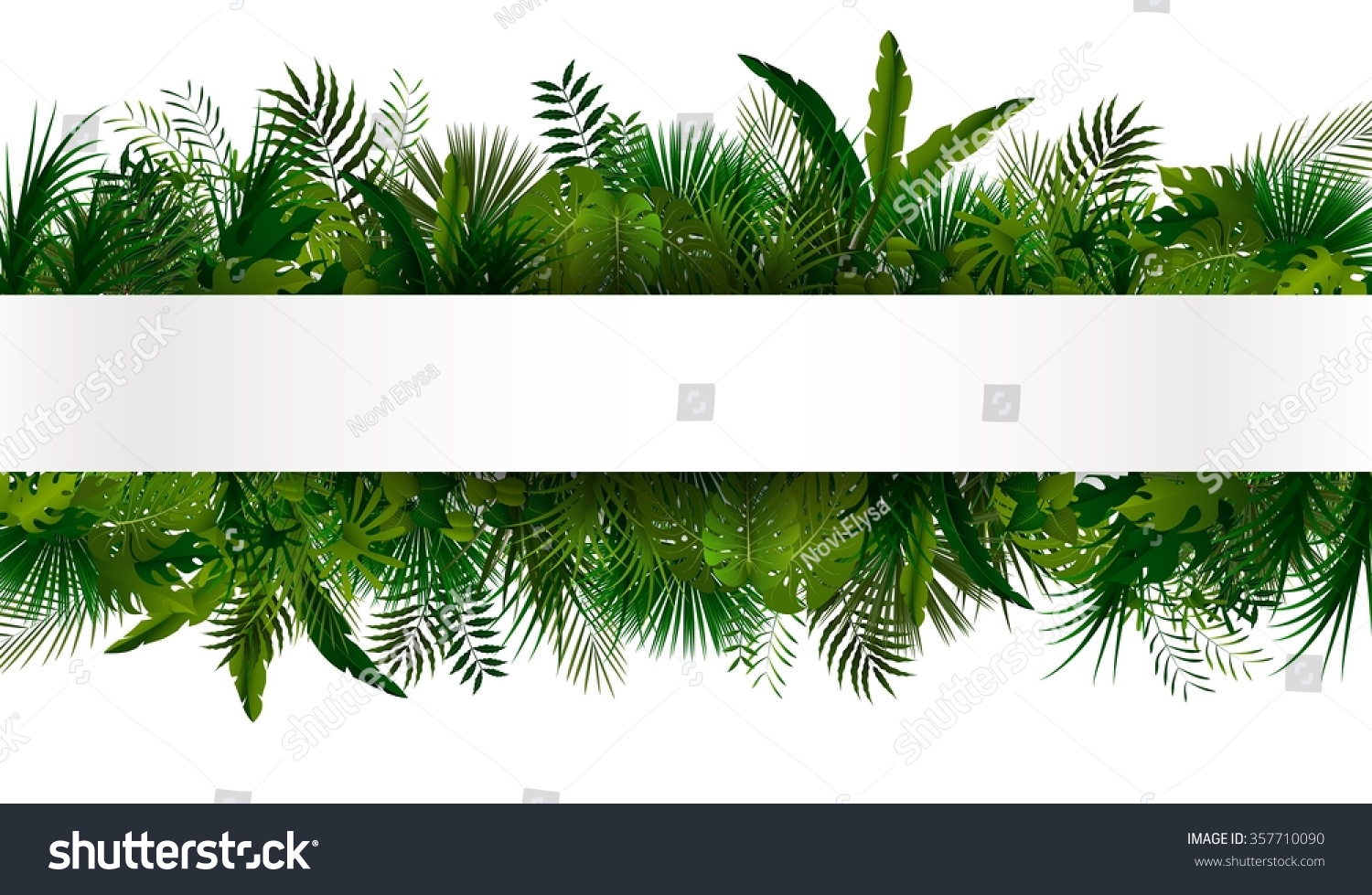 Tropical foliage. Floral design background.vector #357710090