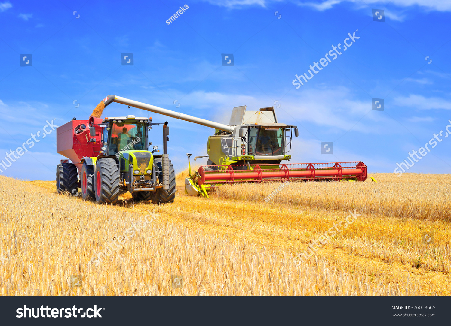Grain harvesting combine #376013665