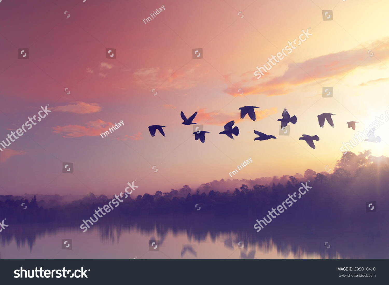 Sun shining and birds silhouettes flying sunset sky  go home #395010490