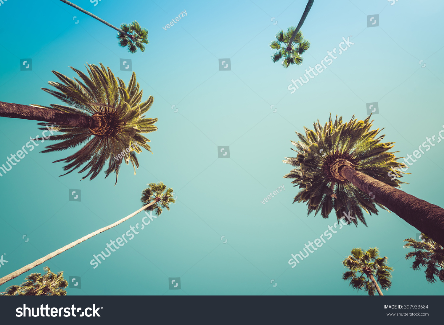 Redeo Los Angeles Vintge Palm Trees Vintage - clear summer skies #397933684