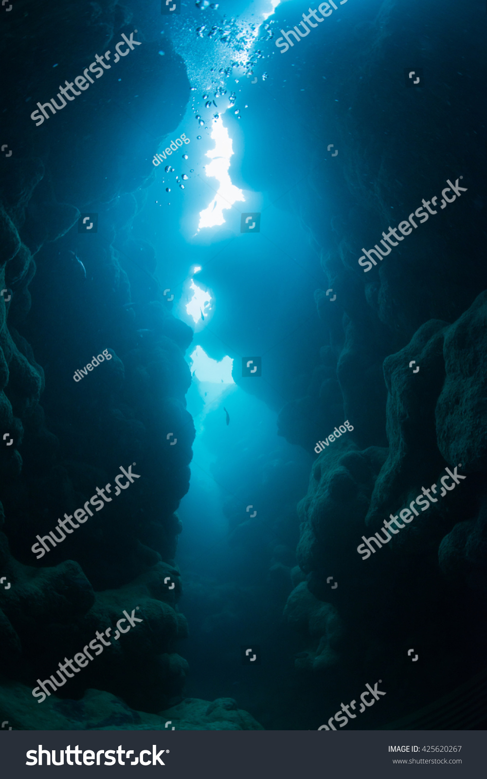 cave diving #425620267