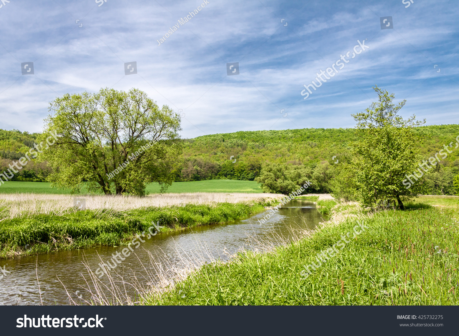 Spring landscape with green meadow, river, trees and blue sky with white clouds. Oslava river, Czech Republic, Europe. #425732275