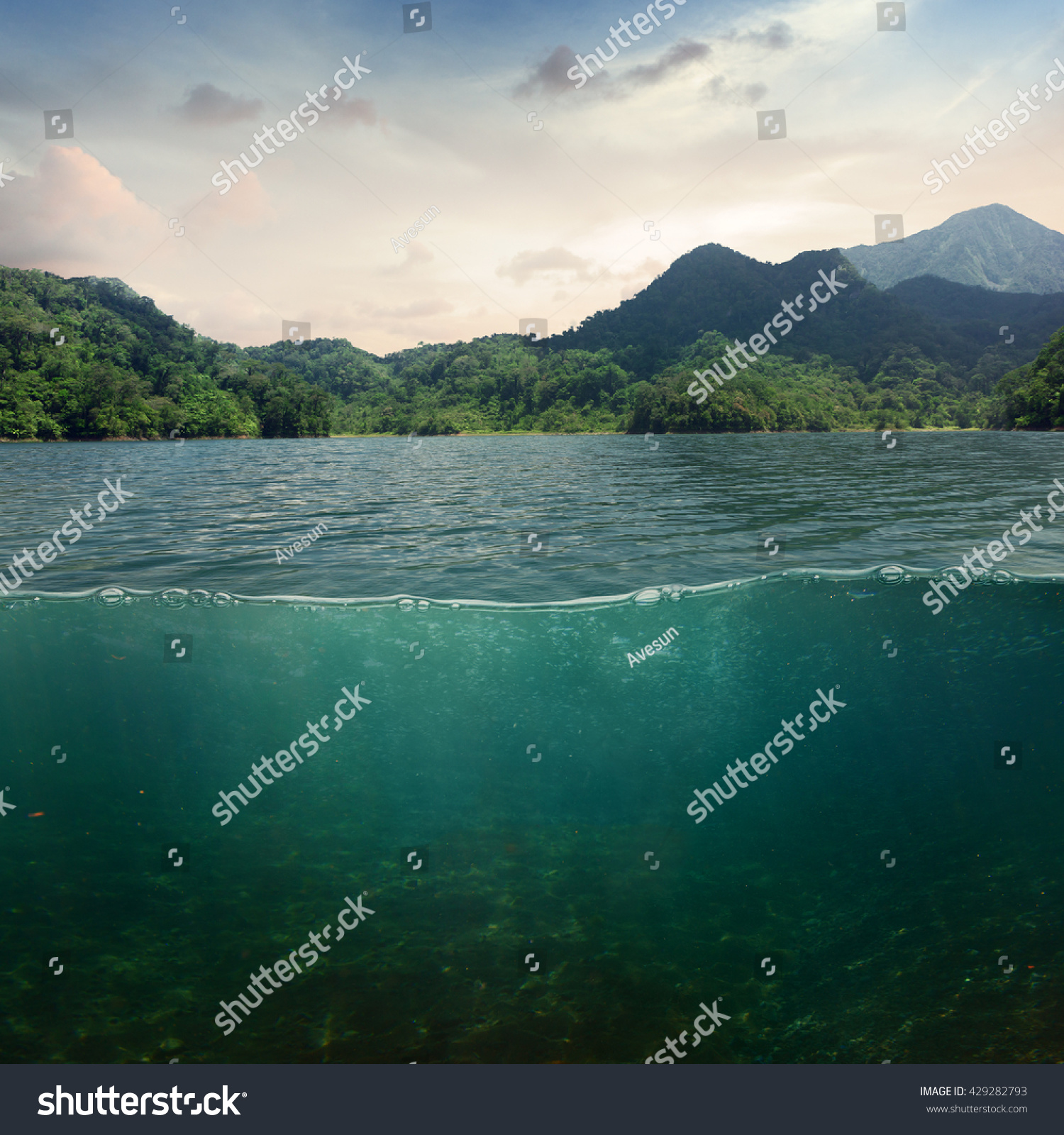Sea landscape design template with underwater part and coast mountain splitted by waterline #429282793