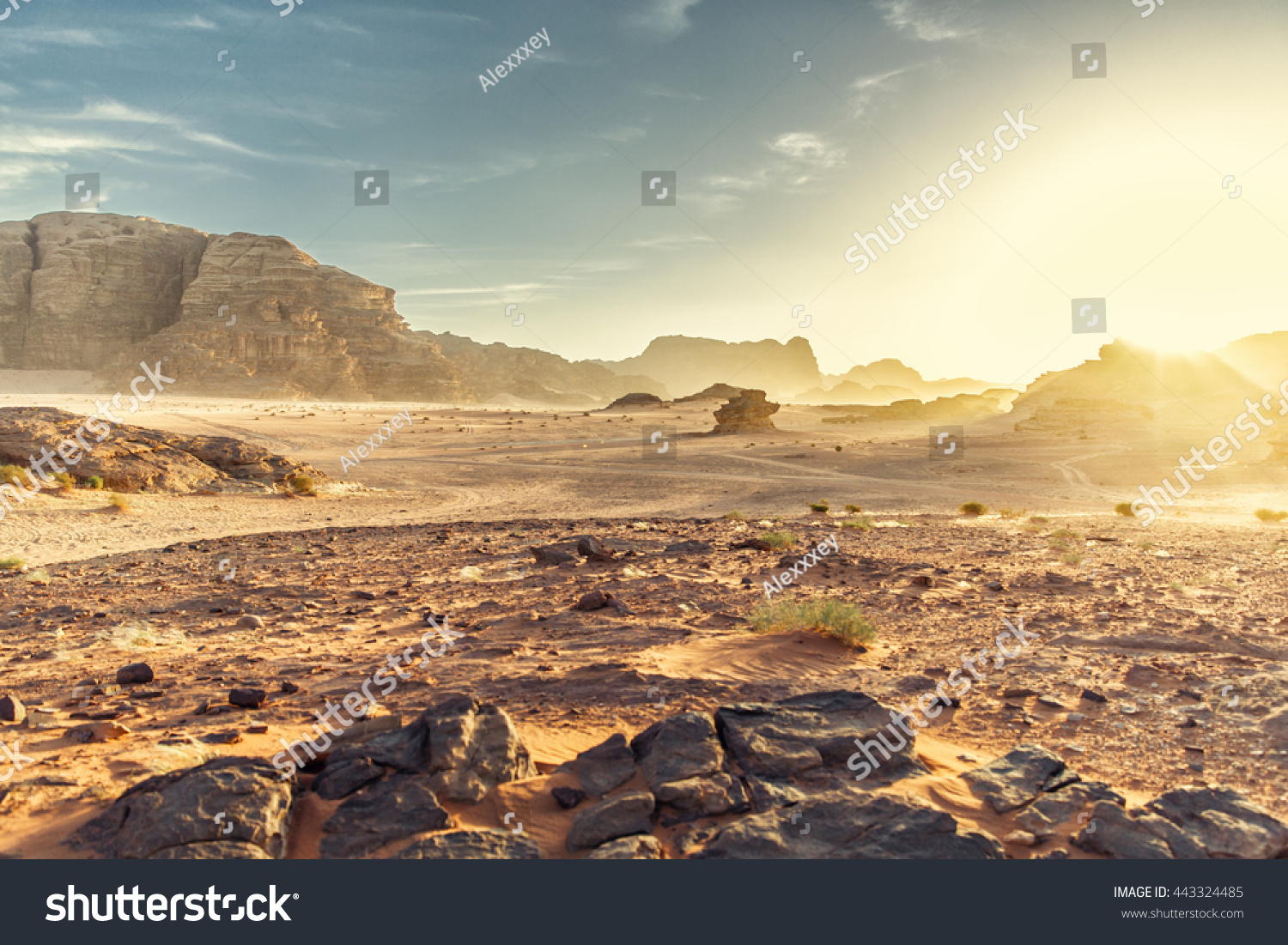 Desert Landscape of Wadi Rum in Jordan, with a sunset, stones, bushes and the sky. #443324485