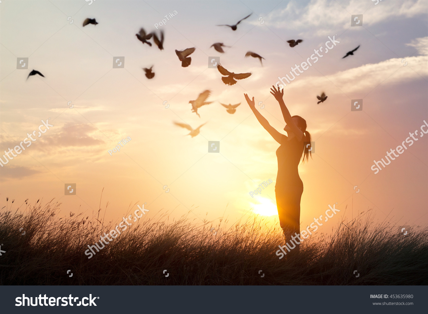 Woman praying and free bird enjoying nature on sunset background, hope concept #453635980
