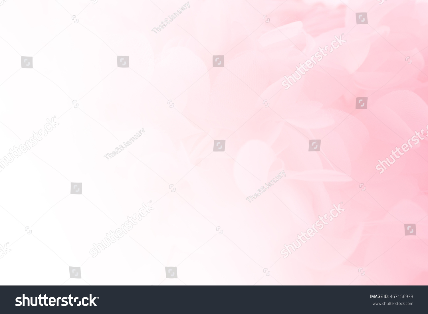Soft pink pastels background, wedding, anniversary, valentines theme and concept #467156933