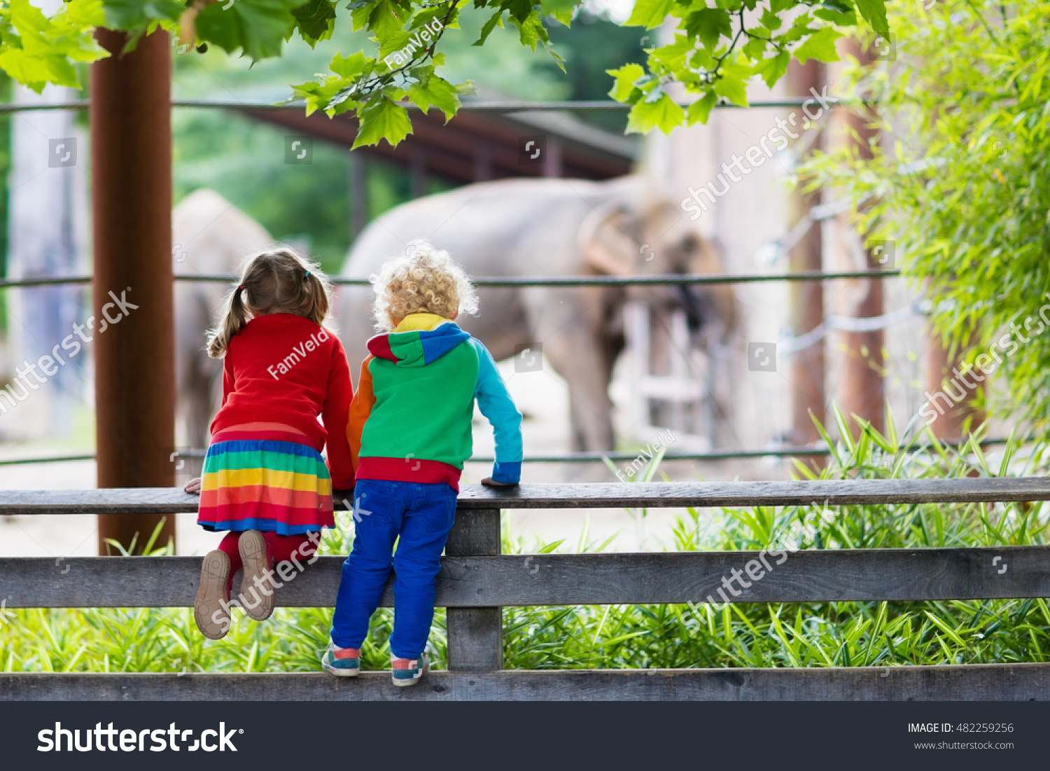Two children, little toddler boy and preschool girl, brother and sister, watching elephant animals at the zoo on sunny summer day. Wildlife experience for kids at animal safari park.  #482259256
