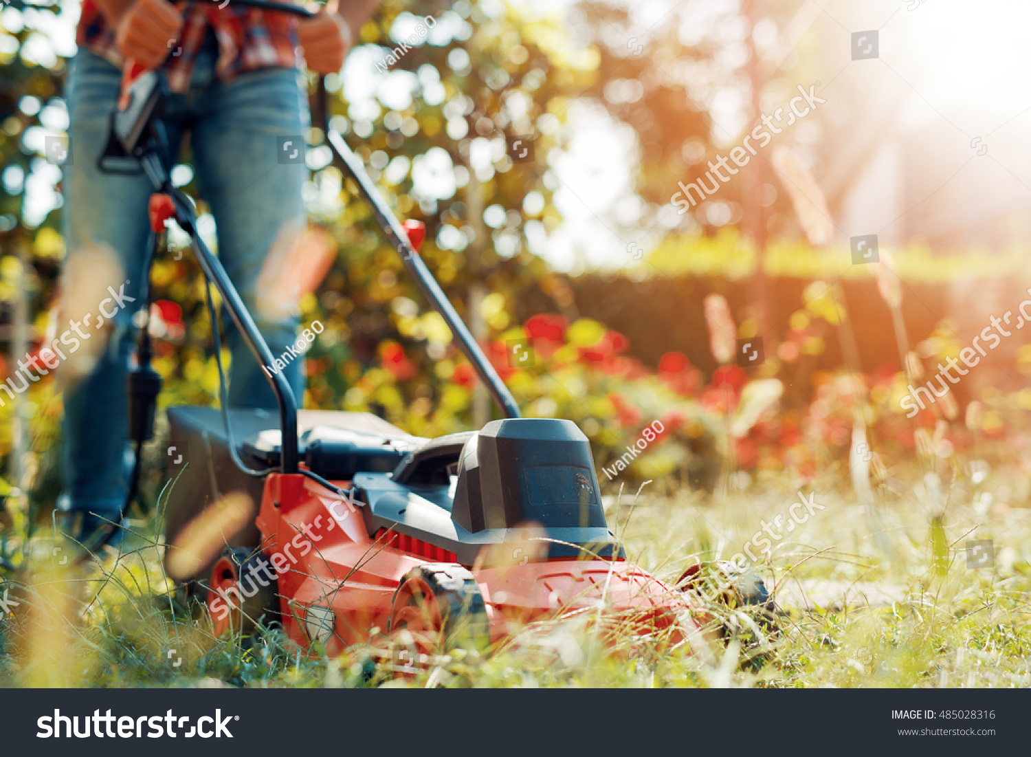 Close up of mower cutting the grass. #485028316